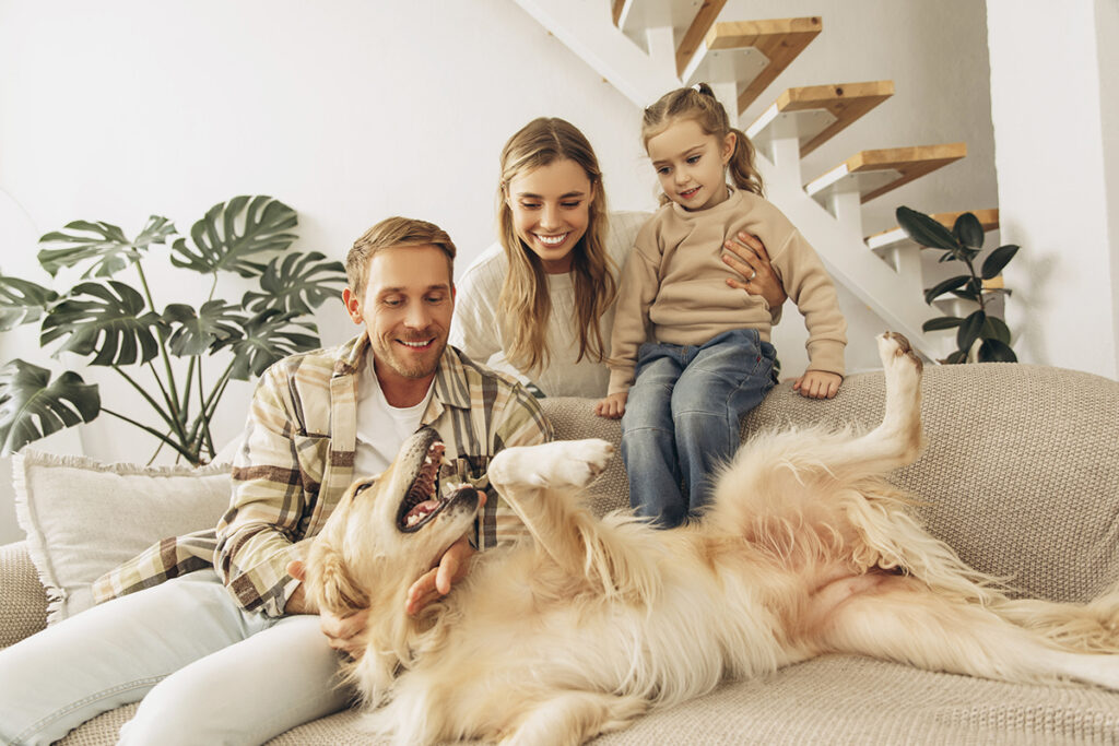 Smiling, happy father and mouther, little daughter sitting on comfortable sofa, playing with golden retriever at home in living room. Love pet concept